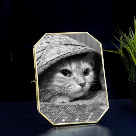 Vintage Style Octagon Brass & Glass, Metal Floating Picture Frame With Locket Closure | Best Gift for home decor, Birthday, Anniversary, Valentine's day | (Vertical tabletop Display